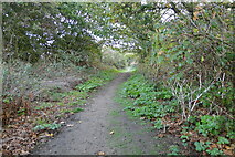 TM5495 : Footpath on the old railway track by Adrian S Pye