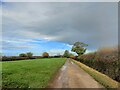 Byway north of Manor Barn Farm