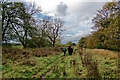 The Six Dales Trail by the River Ure