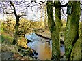 River Avon from Avonbridge park