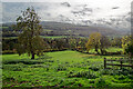 Fields at Hollins House