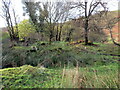 Gweddillion hen Ffarm Blotweth / Remains of the old Blotweth Farm