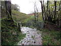 Llwybr ceffyl ger hen Ffarm Blotweth / Bridleway near the old Blotweth Farm