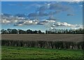 View over farmland to Blyth Road