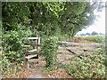 Stile and gate, Windmill Hill