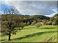 View towards Felin Marlais