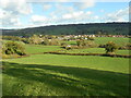 Awliscombe from Bushy Knap