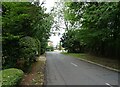 Church Lane approaching junction