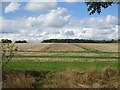 Stubble field near Sharnbrook