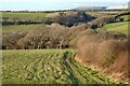 Pastures and wooded valley, Ladock