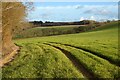 Farmland, Ladock