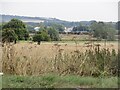 Avon flood plain