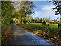 Lane at Elmley Castle