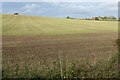 Farmland at Snitterfield