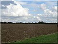 Field near Goosey Lodge Farm