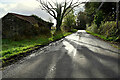 Shadows along Annagh Road