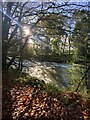 Afon Cothi in autumn