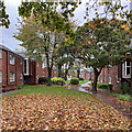 Red brick and wet leaves