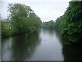 Olivers Mill Weir, River Wansbeck, Morpeth