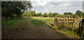 Footpath Towards Durford Abbey