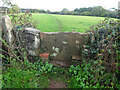 Stone Stile, Iron Acton