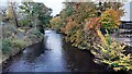 River Eden from Lowmill Bridge