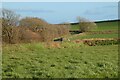 Farmland, St Enoder