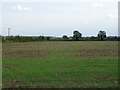 Field off Oakley Road