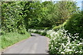 Rural lane