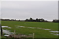 Partially flooded farmland