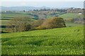 Farmland, St Ewe