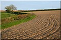 Farmland, St Austell Bay