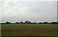 Crop field towards Orchard Farm