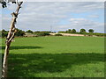 Grazing, Grange Farm