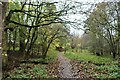 A woodland path at Townholm