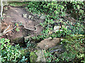 Dressed stones alongside Alum House Lane beck