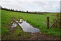 Muddy entrance to field, Blacksessagh