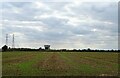 Field towards water tower