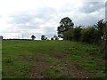 Grazing and hedgerow off Doddington Road