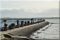 Thorney Bay Seawall