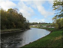 NZ2686 : River Wansbeck Country Park by Les Hull