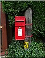 Elizabeth II postbox on Hill Side