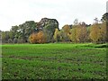 Autumn colours beside the Derwent