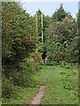 Footpath to Main Road in Colwich, Staffordshire