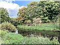 River Wandle