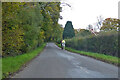 Horse riding on Faygate Lane