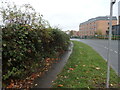 Brambles on Bolling Road, Bradford