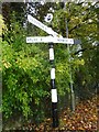 Direction sign - Signpost by the B6364 in Stichill