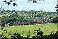 Conqueror Terrace, Sedlescombe from Hurst Farm fields