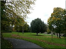SU8649 : Autumn in Manor Park by Basher Eyre
